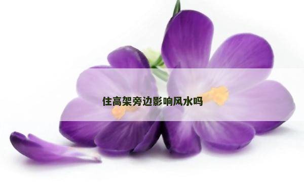 住高架旁邊影響風水嗎