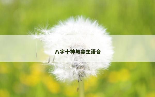 八字十神與命主語音