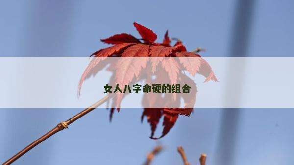 女人八字命硬的組合