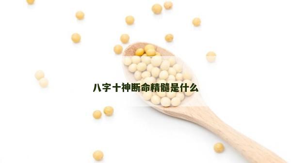 八字十神斷命精髓是什么