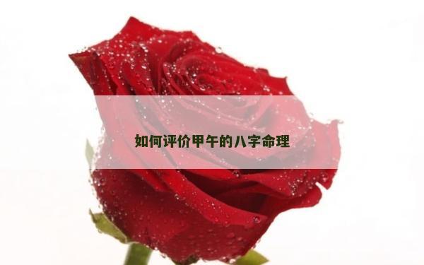 如何評價甲午的八字命理 如何評價甲午的八字命理