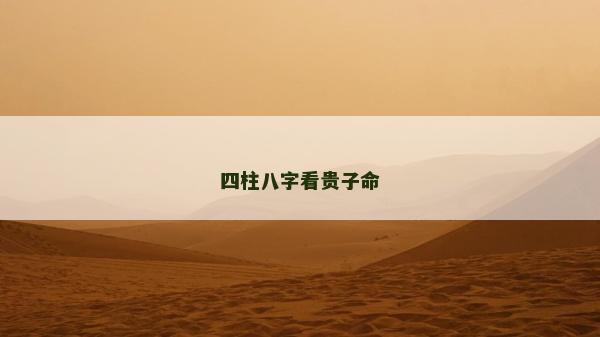 四柱八字看貴子命