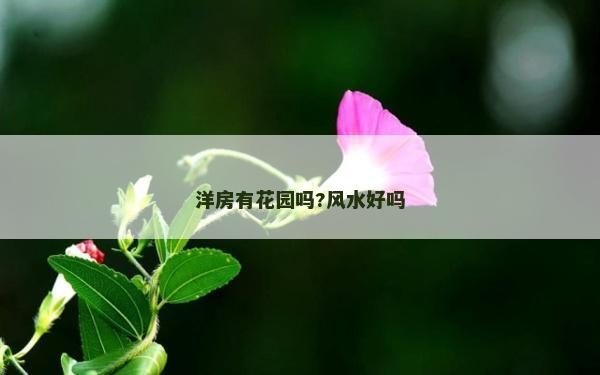 洋房有花園嗎?風水好嗎