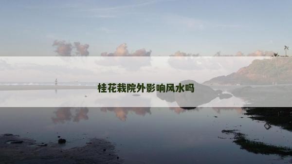 桂花栽院外影響風水嗎