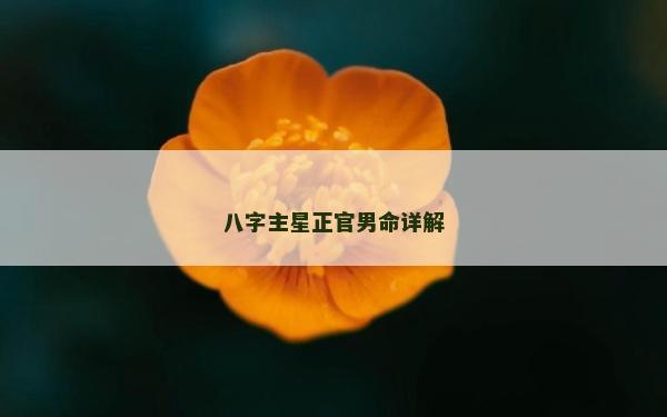 八字主星正官男命詳解