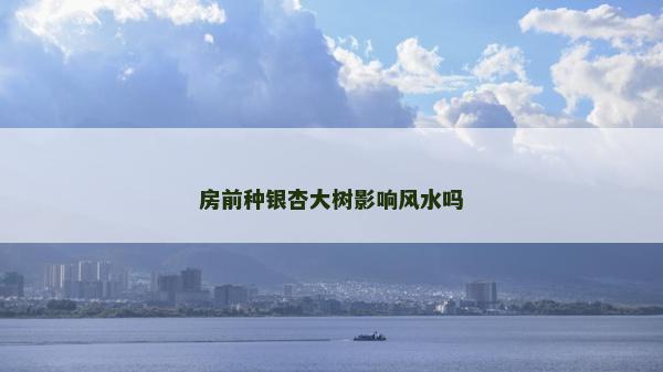 房前種銀杏大樹影響風(fēng)水嗎