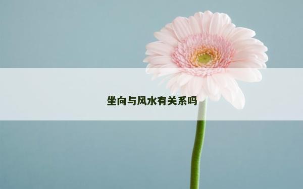 坐向與風水有關系嗎