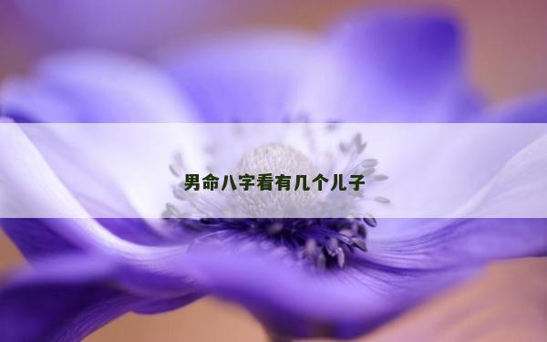 男命八字看有幾個兒子
