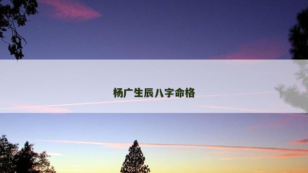 楊廣生辰八字命格