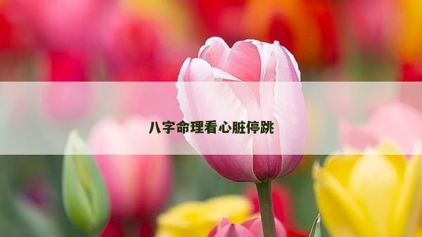 八字命理看心臟停跳