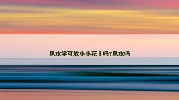 風水學可放小小花瓬嗎?風水嗎