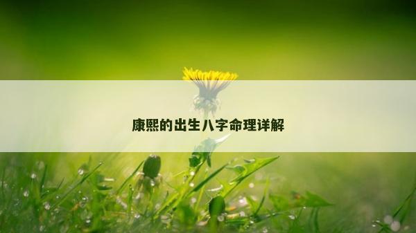 康熙的出生八字命理詳解