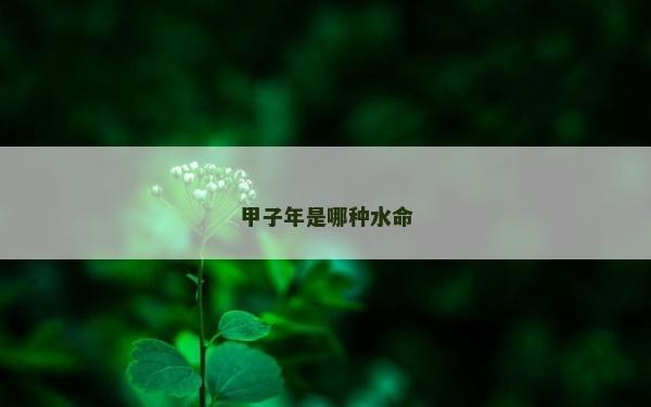 甲子年是哪種水命