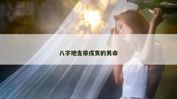 八字地支帶戌亥的男命