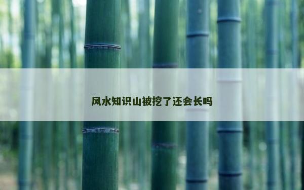 風水知識山被挖了還會長嗎