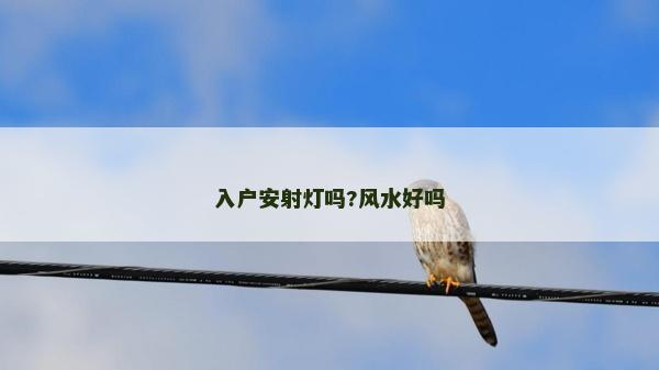 入戶安射燈嗎?風水好嗎