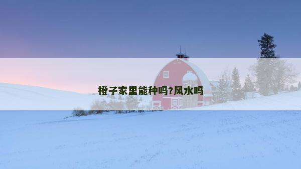 橙子家里能種嗎?風水嗎