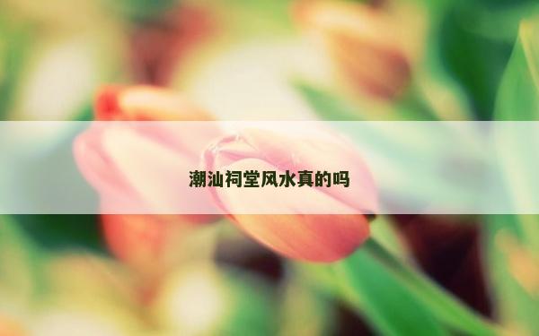 潮汕祠堂風水真的嗎
