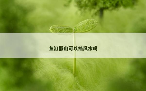 魚缸假山可以擋風水嗎