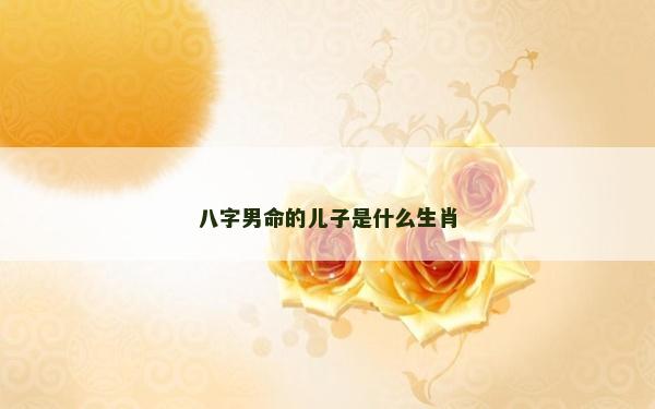 八字男命的兒子是什么生肖