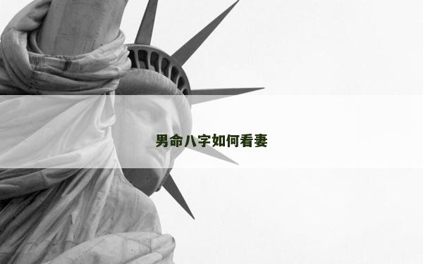 男命八字如何看妻 男命八字如何看妻