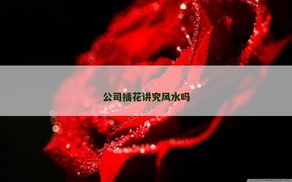 公司插花講究風水嗎 公司插花講究風水嗎