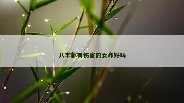 八字都有傷官的女命好嗎