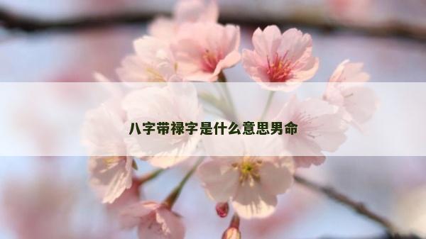 八字帶祿字是什么意思男命