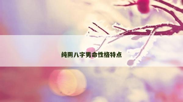 純陰八字男命性格特點