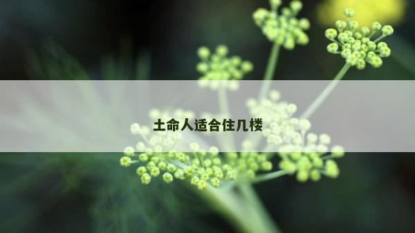 土命人適合住幾樓