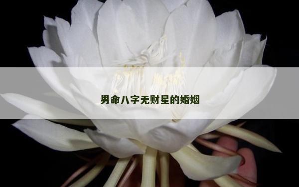 男命八字無(wú)財(cái)星的婚姻