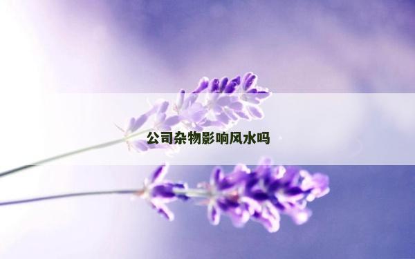 公司雜物影響風水嗎