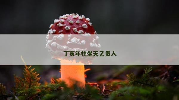 丁亥年柱坐天乙貴人