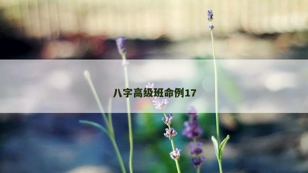 八字高級班命例17