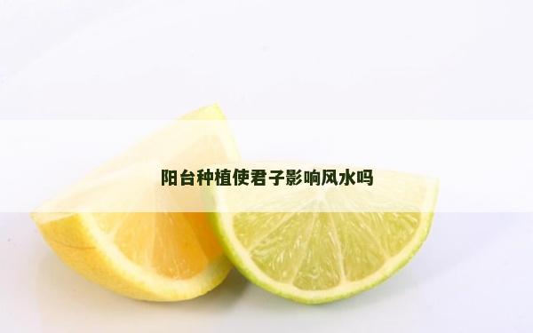 陽臺種植使君子影響風水嗎