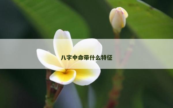 八字中命帶什么特征