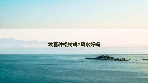 墳墓種松樹嗎?風水好嗎