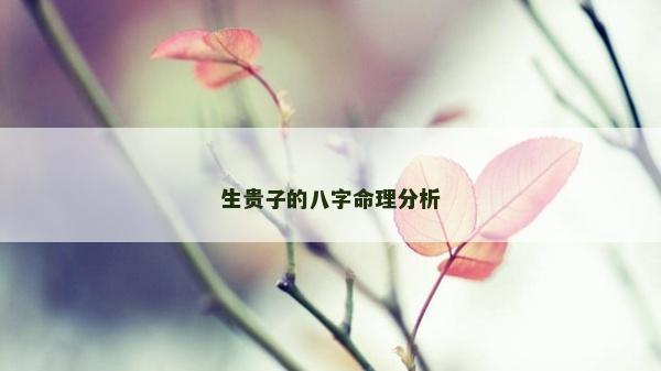 生貴子的八字命理分析