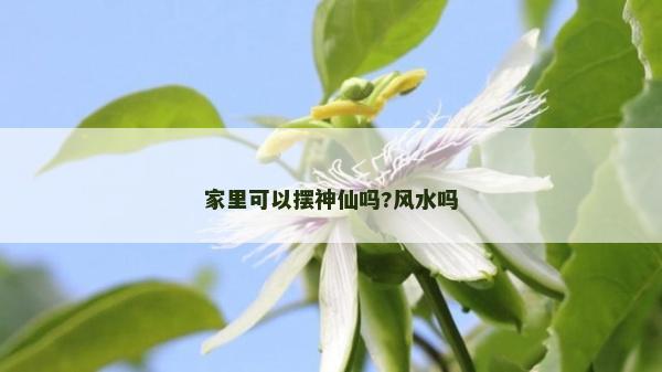 家里可以擺神仙嗎?風水嗎