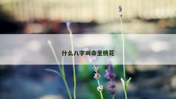 什么八字叫命坐桃花