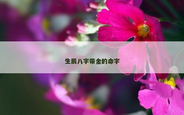 生辰八字帶金的命字