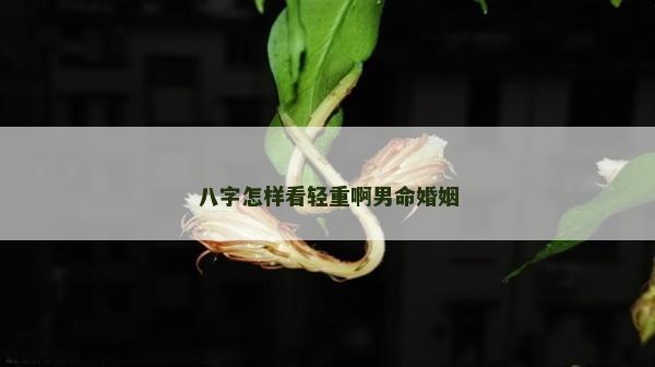 八字怎樣看輕重啊男命婚姻