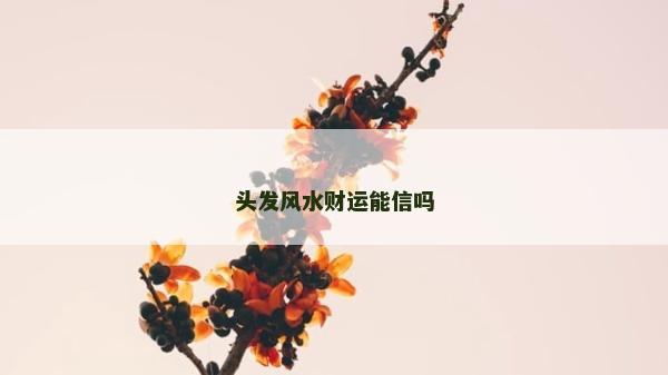 頭發(fā)風(fēng)水財(cái)運(yùn)能信嗎