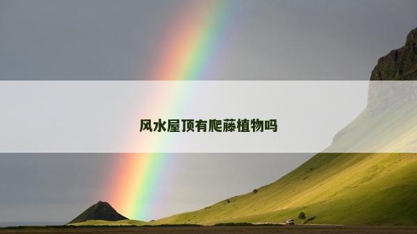 風水屋頂有爬藤植物嗎