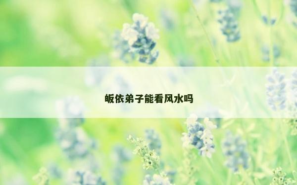 皈依弟子能看風水嗎