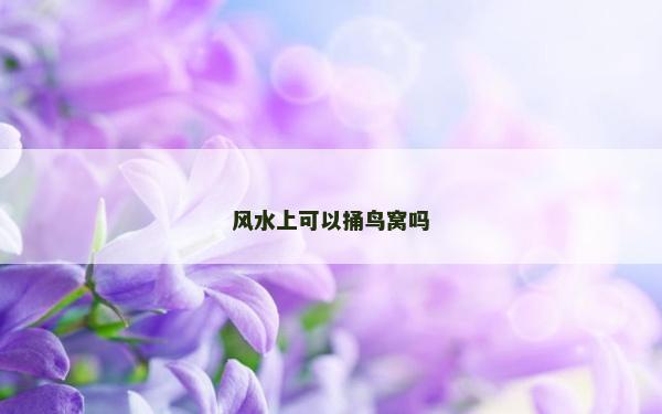 風水上可以捅鳥窩嗎