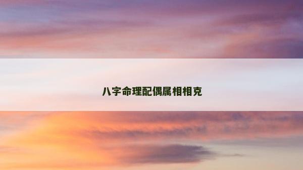 八字命理配偶屬相相克