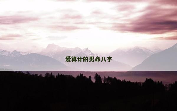 愛算計的男命八字