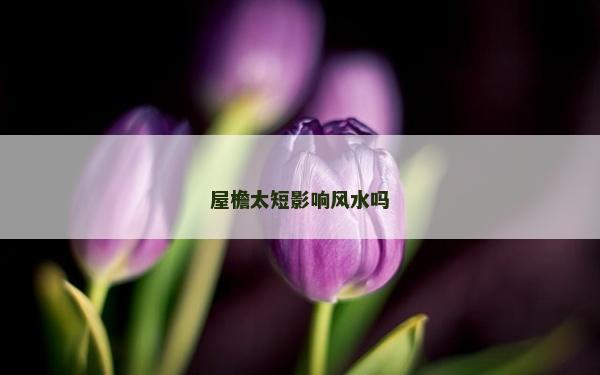 屋檐太短影響風水嗎