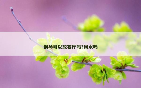 鋼琴可以放客廳嗎?風(fēng)水嗎